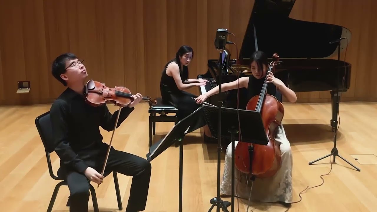 Smetana Piano Trio Movement 3
