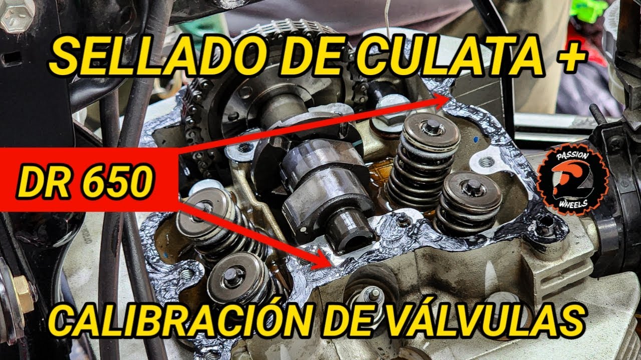 Corrección Fuga de Aceite en la Culata & Calibración de Válvulas Dr 650 2025 | Passion2wheels