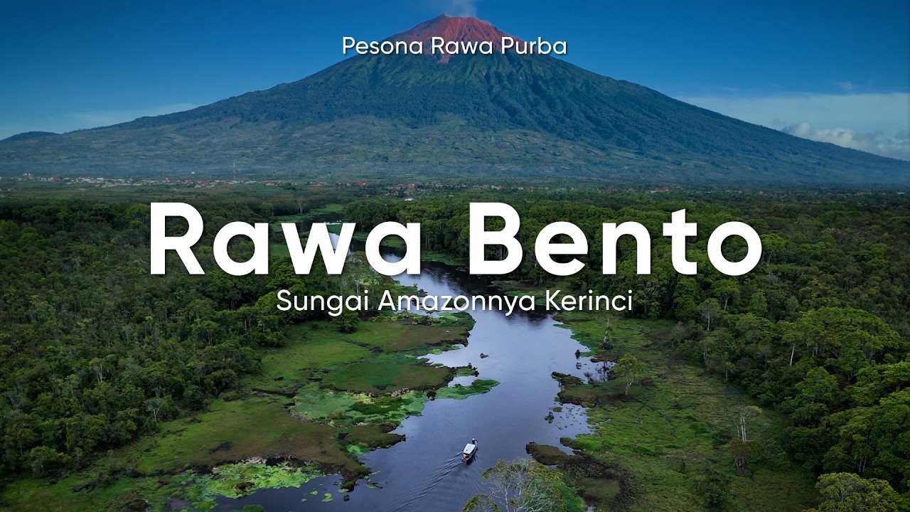Rawa Bento Kerinci - Rawa Purba dengan Pesona Abadi