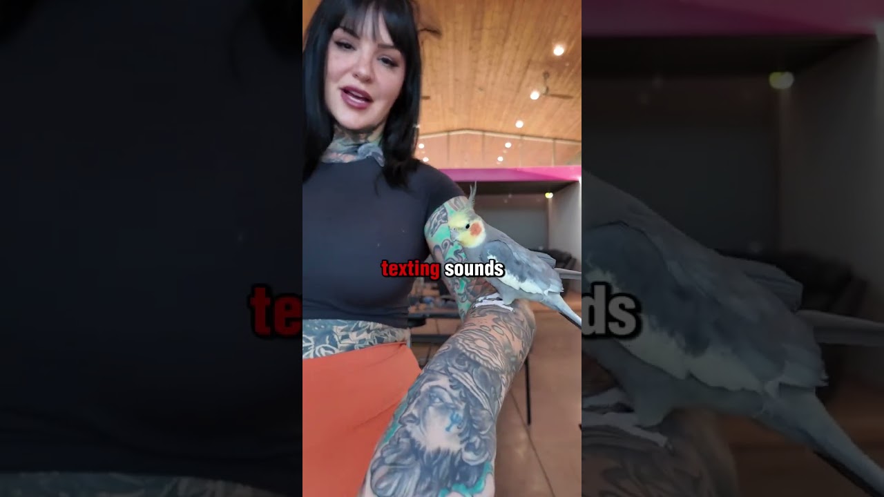 Poznajcie moje stado 🪶