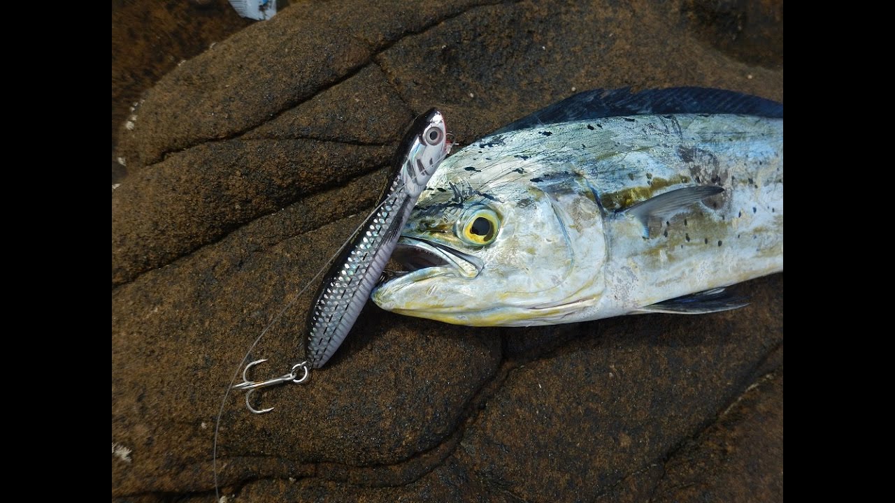 SavageGear Panic Prey V2 στην πράξη!