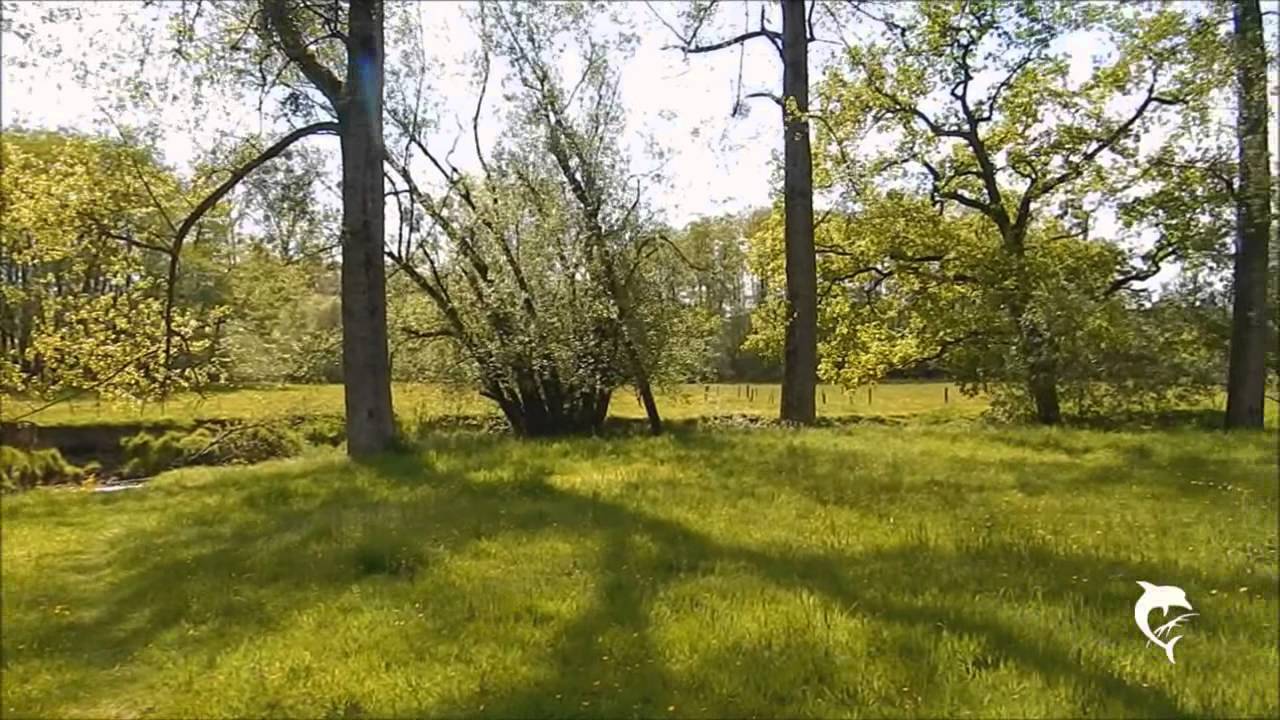 Walking series - Hiking along the river Geul - part 2