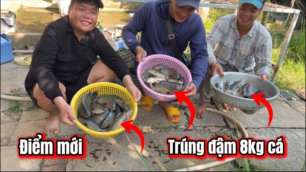 8KG CÁ-Anh Em Tôi Trúng Đậm Cá Rô Siêu To Siêu Khủng Ở Khu Mới-Câu Cá Rô Đồng / lãng tử miền tây T94