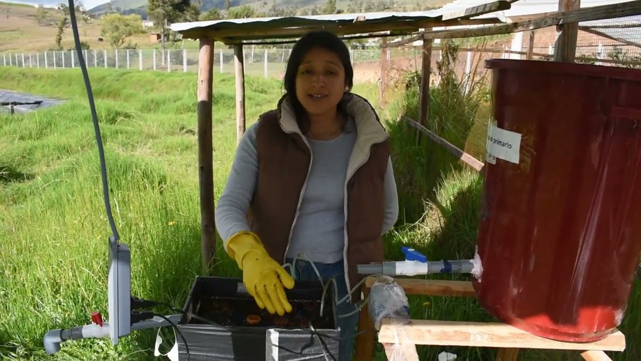 Biorreactor de lecho móvil(MBBR) a escala de laboratorio para tratamiento de agua residual municipal