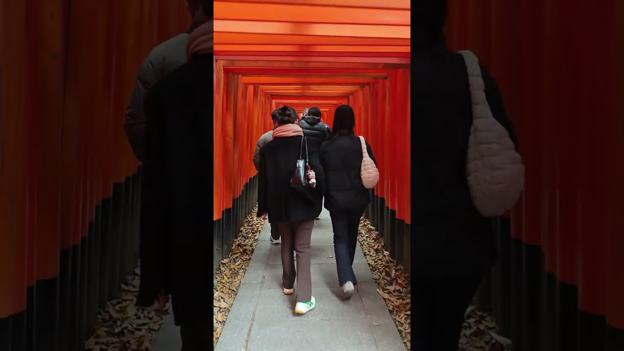 2025/12/03 - 12/10 京都 大阪 追楓短影音集