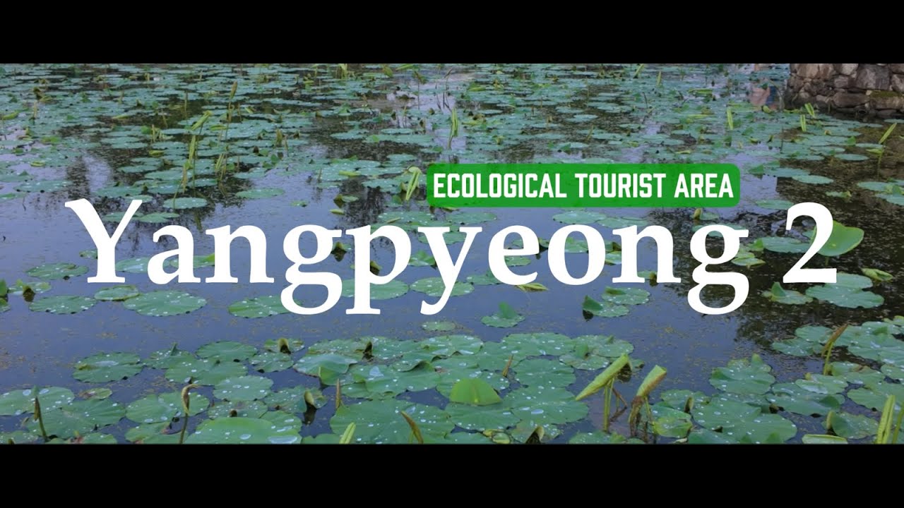 Yangpyeong 2 - Semiwon garden, Dumulmeori, traditional market and Korean food | 4K Trip to Korea