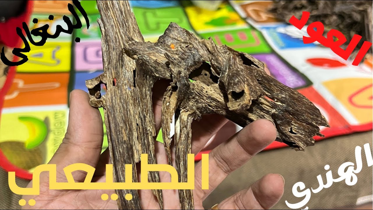 العود الطبيعي الهندي والعود الموري بكل درجاته وأشكاله/سعر جملة الجملة من المصدر/للطلب تواصل واتساب