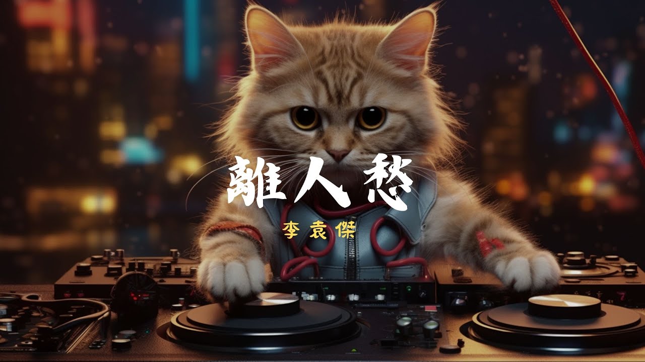 李袁傑 - 離人愁, 莊心妍 - 一直想著他, 吳大文 - 安靜的稻草人《2024年最流行的華語青年音樂》【動態歌詞Lyrics】