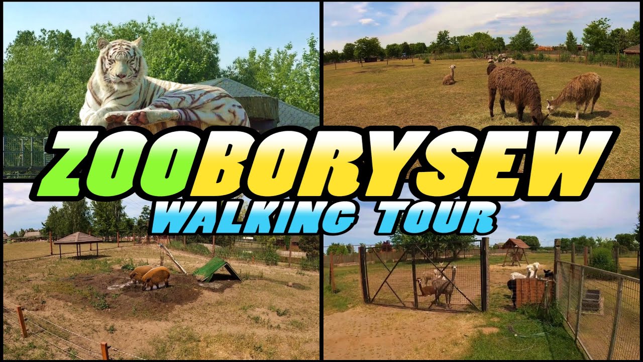 ZOO BORYSEW Walking Tour - Poland (4k)