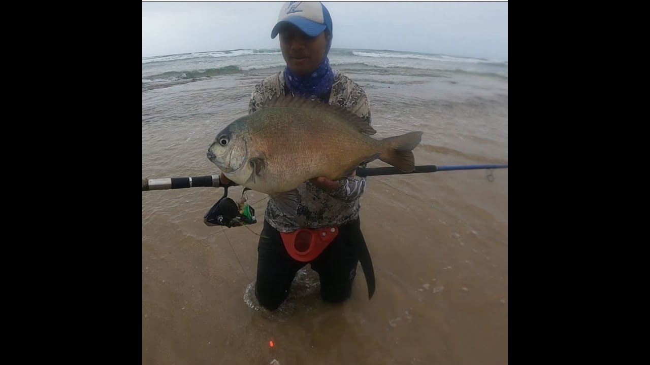 Catching A BIG BRONZE BREAM with a Bluefish 14.6 #fishinglife #fishing #SouthAfrica #saltwater