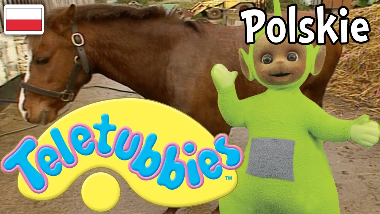 Teletubisie Po Polsku - 73 DOBRA JAKOŚĆ (Pełny odcinek)