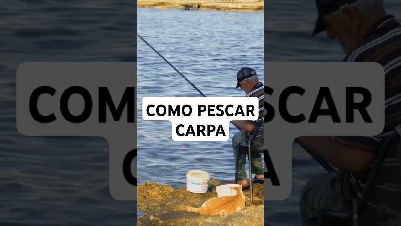Como pescar Carpa 🎣 #pescaria #pesca #fishing #carpa #pescador