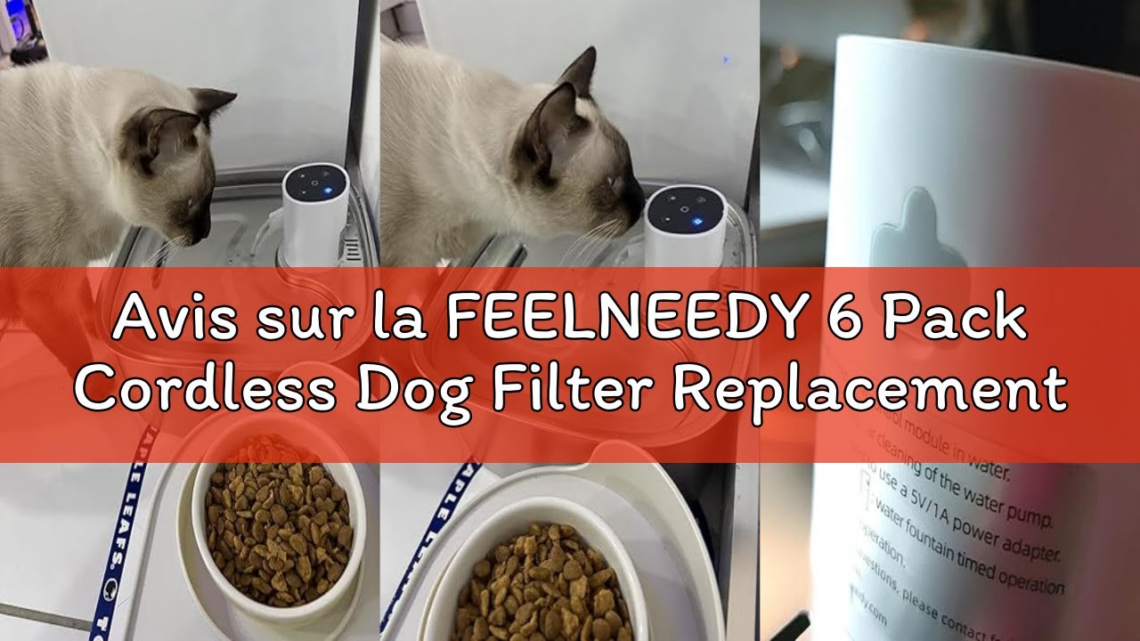 Avis sur la FEELNEEDY 6 Pack Cordless Dog Filter Replacement and 6 Pcs Pump Filter Sponges Compatibl