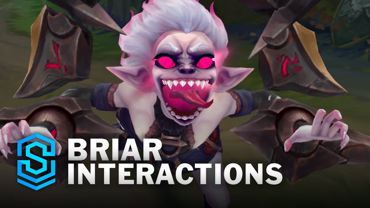 Briar Special Interactions