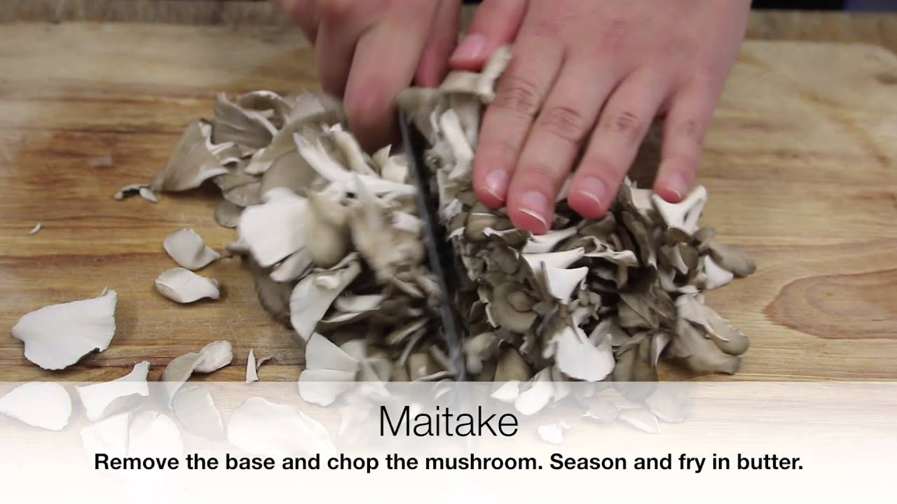 Maitake