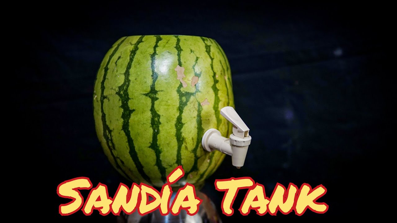 RECETA: 🍉  🍹 Tanque de SANDÍA y TEQUILA  🍹 🍉(FÁCIL, DIVERTIDO Y DELICIOSO)