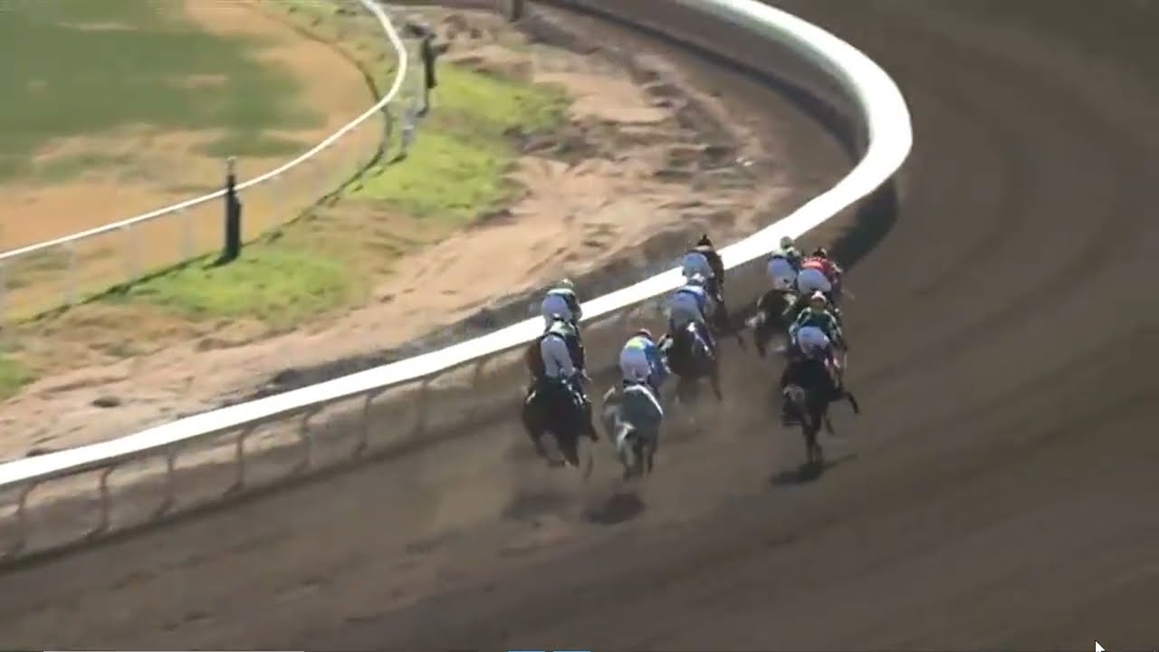 R4 TURF PARADISE USA 04 FEB 2026