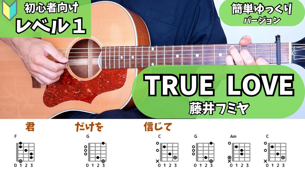 『TRUE LOVE』藤井フミヤ/簡単ゆっくり【弾き語り】