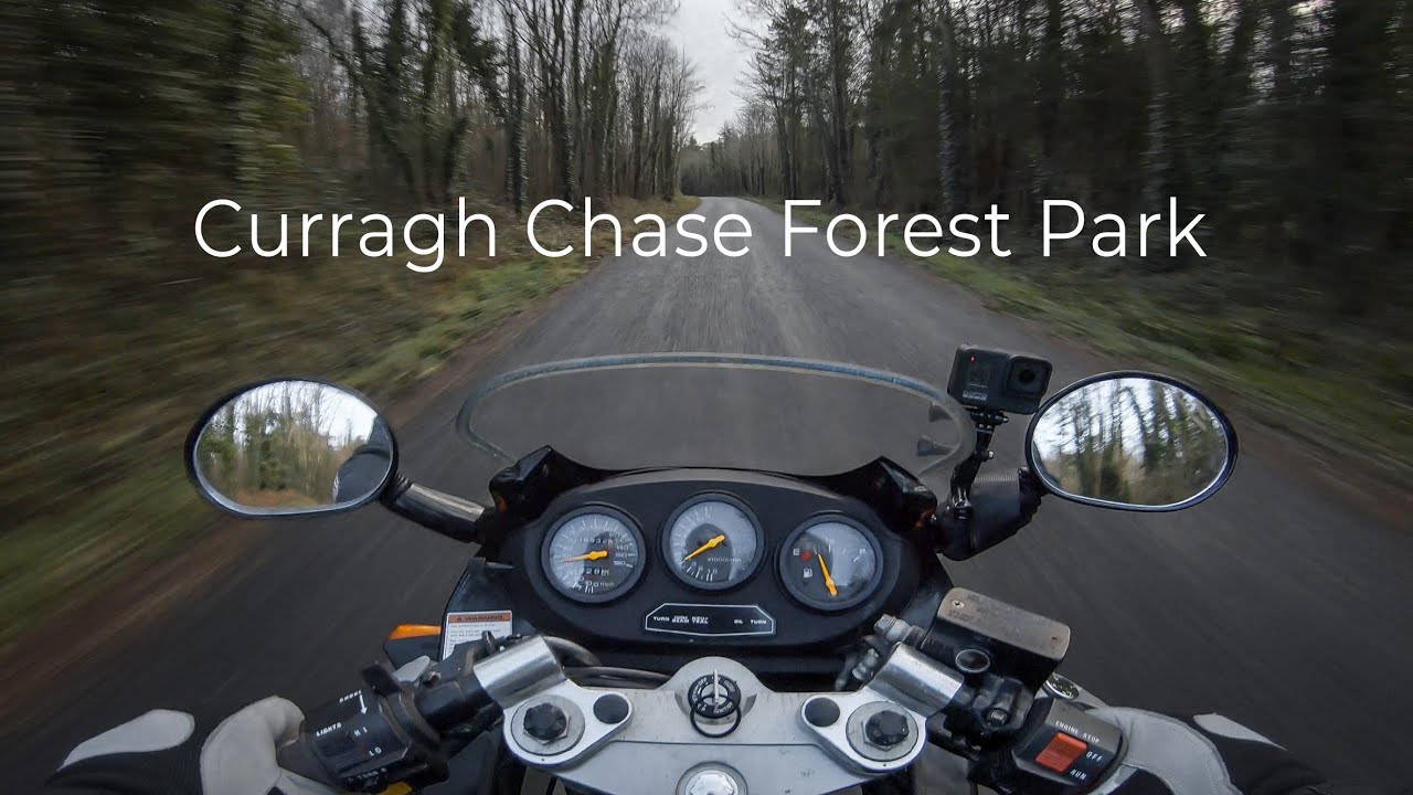 Curragh Chase Forest Park | Suzuki Katana GSX 600 F