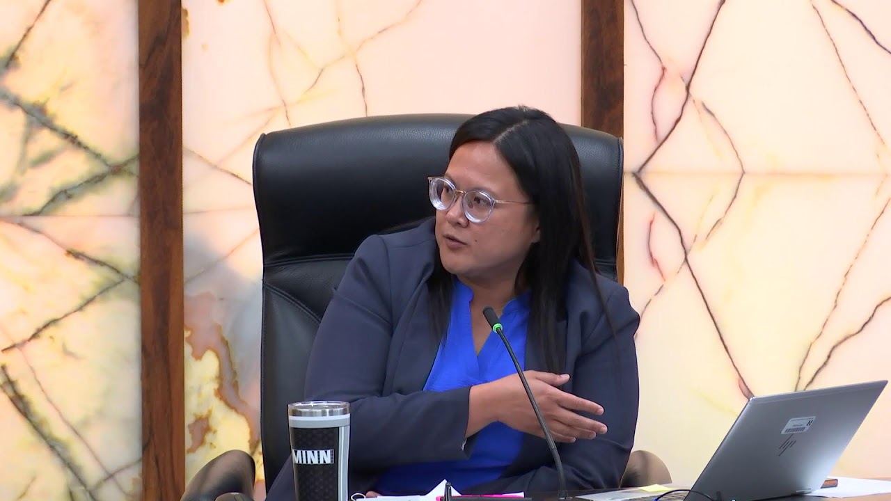 Hennepin County Board Committees