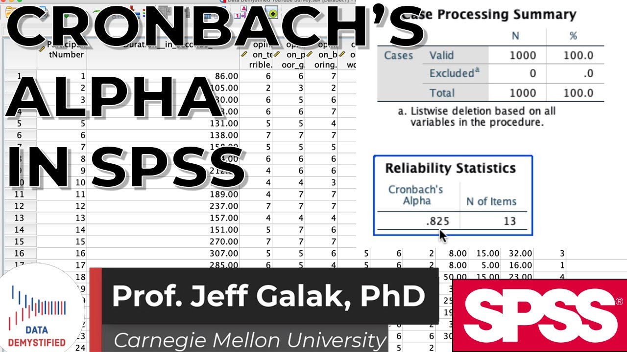 Cronbach's Alpha and Reliability Analysis in SPSS  (SPSS Tutorial Video #24);