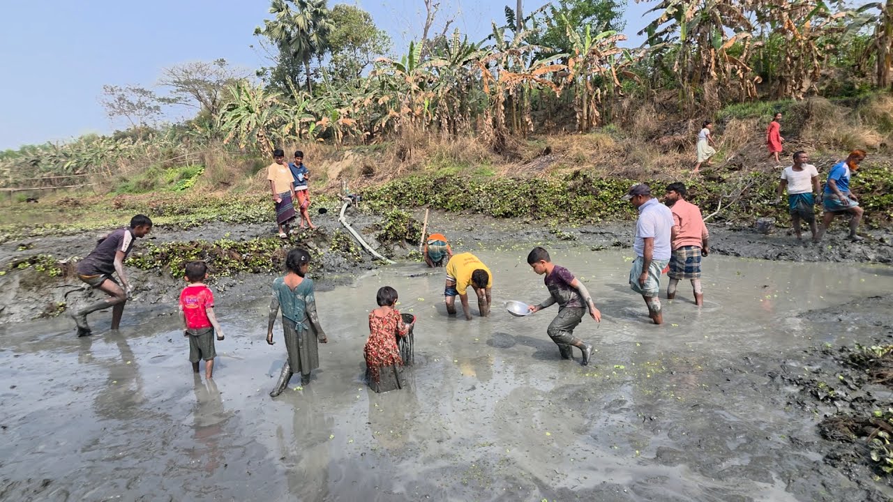 গ্রামের কাদা পানিতে মাছ ধরার উৎসব 🎣 || Full 10 Minutes Fishing Action