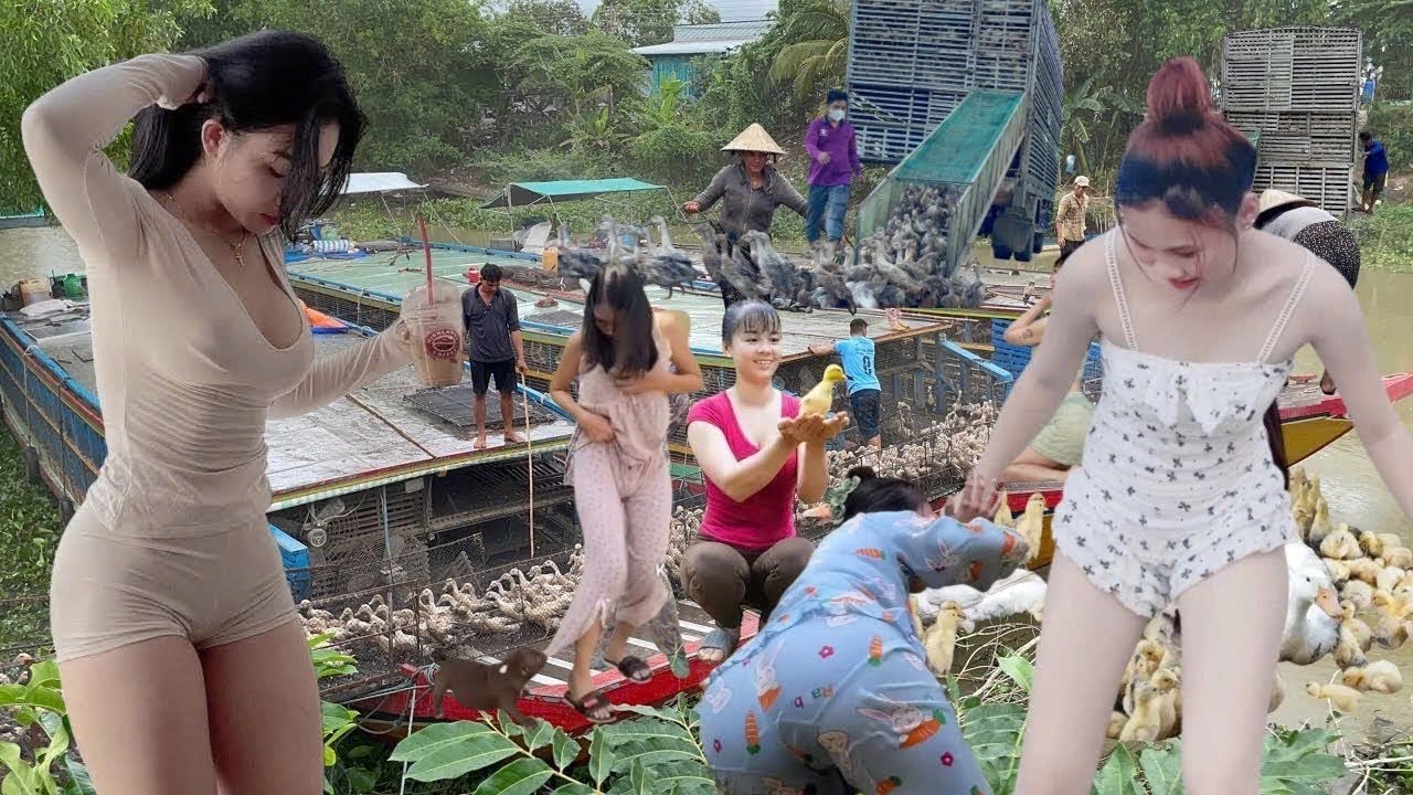Full Video: Western Vietnam Girls Manage Massive Duck Flocks by Boat | Farm Life TV