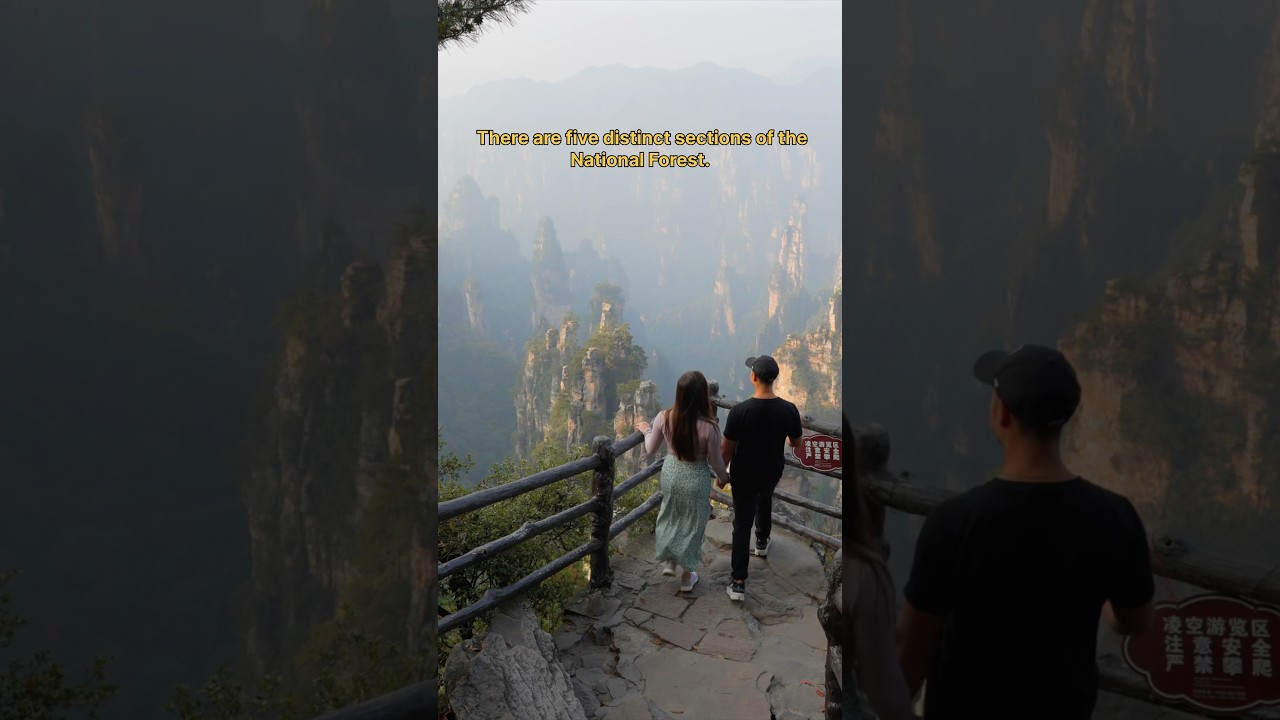 Your travel guide to the Avatar Mountains 🇨🇳 #zhangjiajie #avatarmountains #china