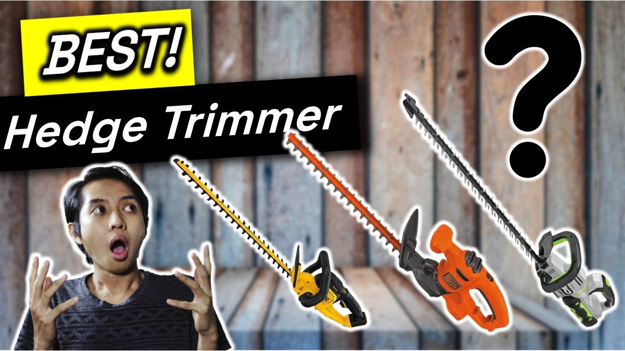 Are You WASTING Money on the Wrong Hedge Trimmers?