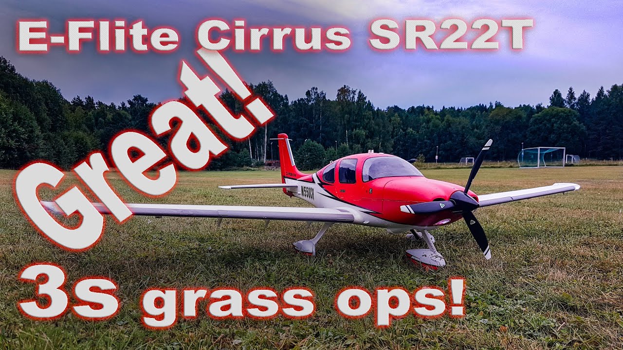 E-Flite Cirrus SR22T - Great 3s grass ops!