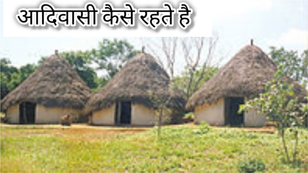 भारत का पहला राष्ट्रीय मानव संग्रहालय. Tribal museum Bhopal.आदिवासी जनजाति संग्रहालय#culture #vlog
