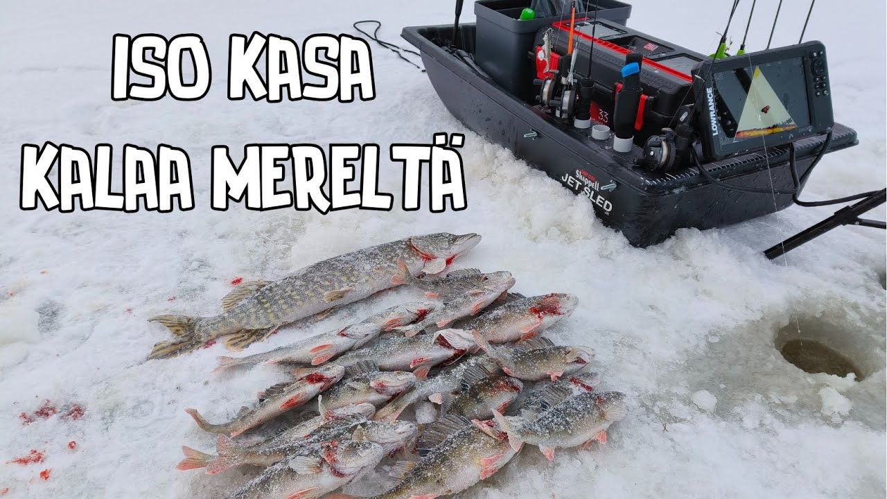 AHVENEN PILKINTÄÄ TASURILLA