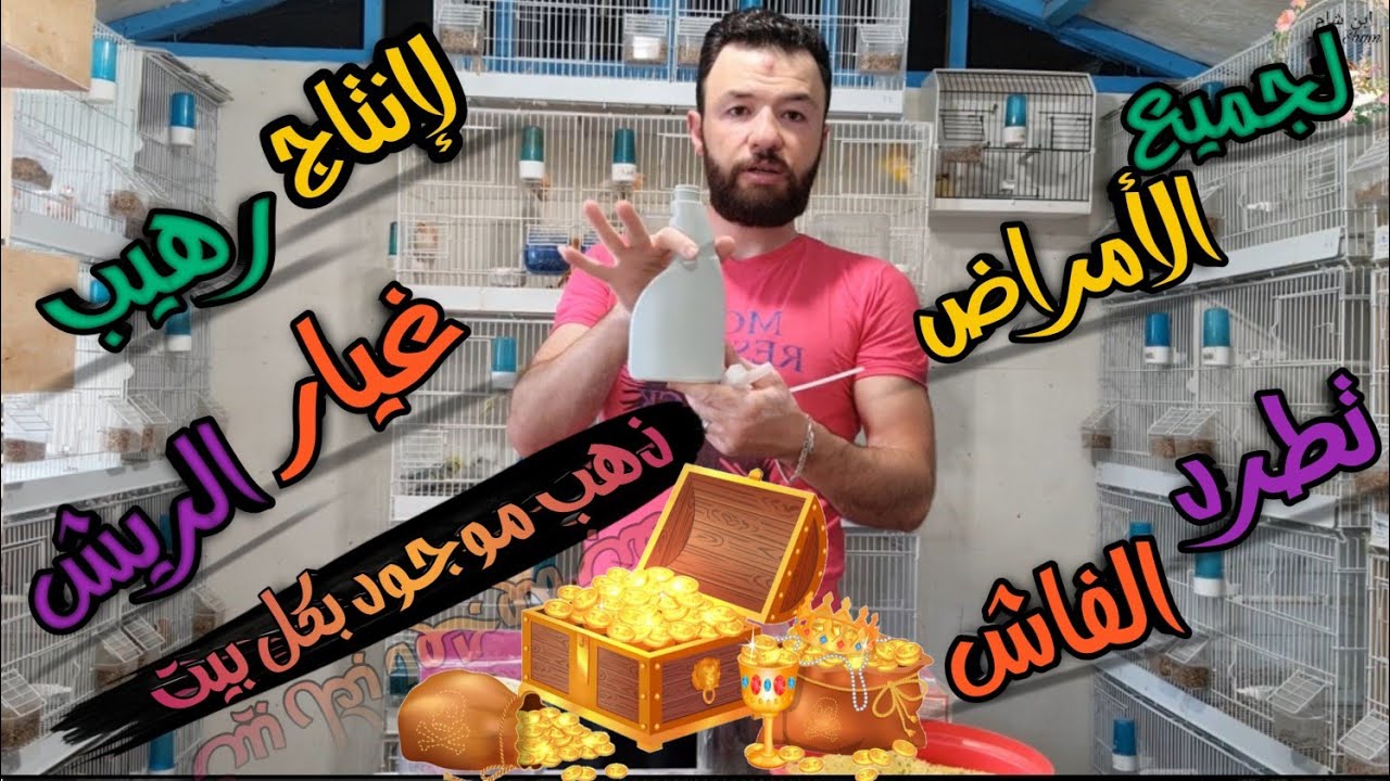 كيف تجعل الذكر يغرد والأنثى تجهز كيف اتخلص من الأمراض والفاش لا تبخل ع طيورك بهذه المادة معلومات مهم