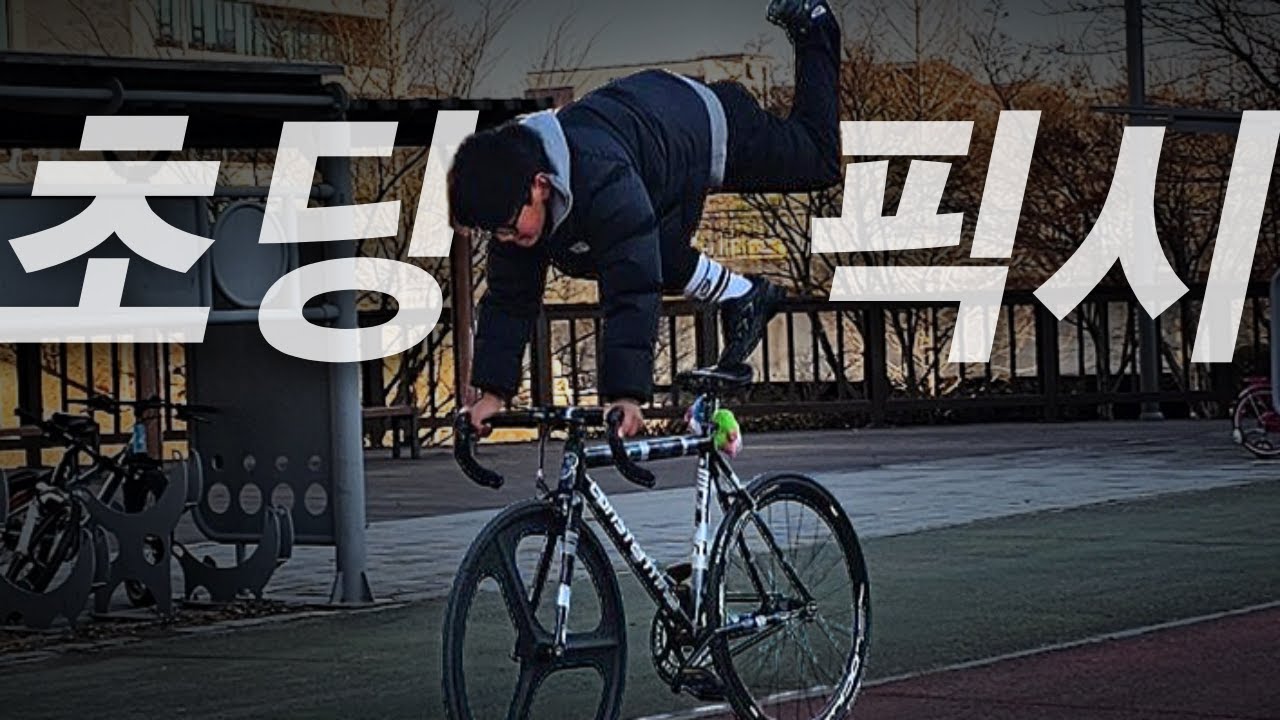 당근에서 만난 초딩에게 픽시를 배워봤습니다.