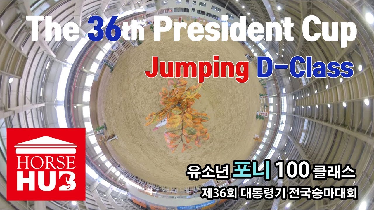 제36회 대통령기 전국승마대회 장애물 유소년 포니100 클래스 경기Jumping D-Class
