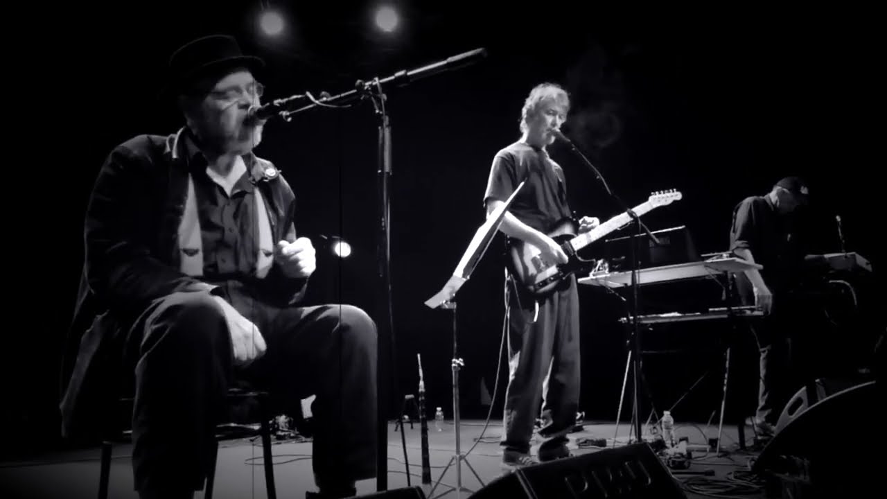 Pere Ubu - The Vulgar Boatman Bird