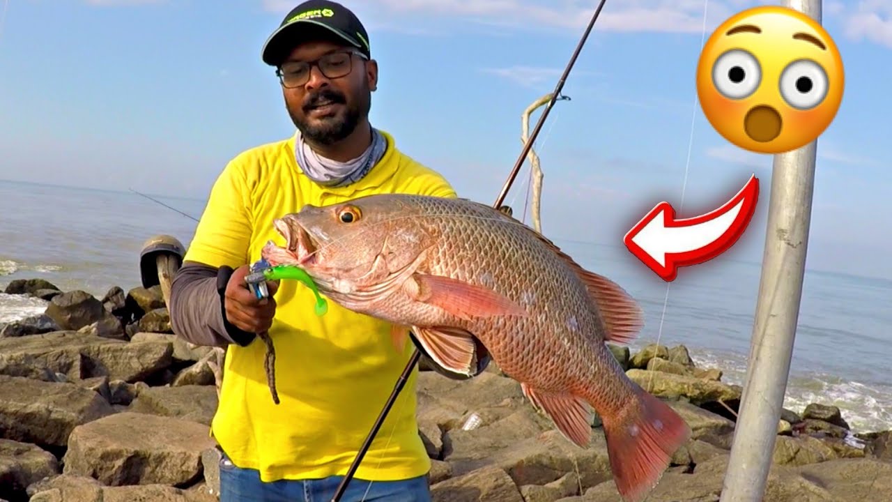 Huge snapper on lucana predator soft lure || shad fishing || വലിയ ചെമ്പല്ലിയെ പിടിച്ചപ്പോൾ...😳🙆‍♂️