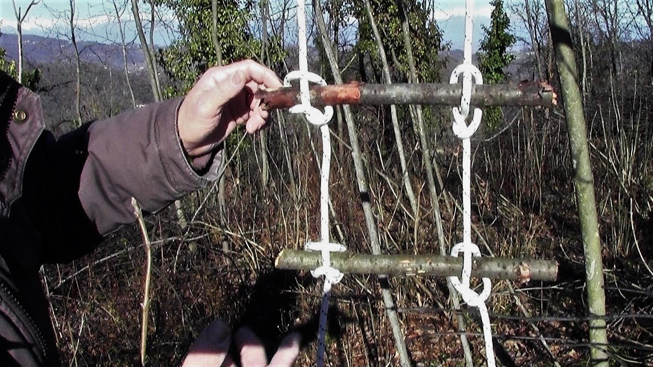 Nodo per scale, nodo dell'artigliere e uno a sgancio rapido