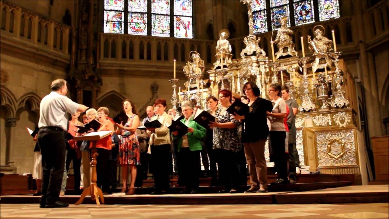 Ave Verum corpus (Edward Elgar) - Kirchenchor St. Georg im Regensburger Dom