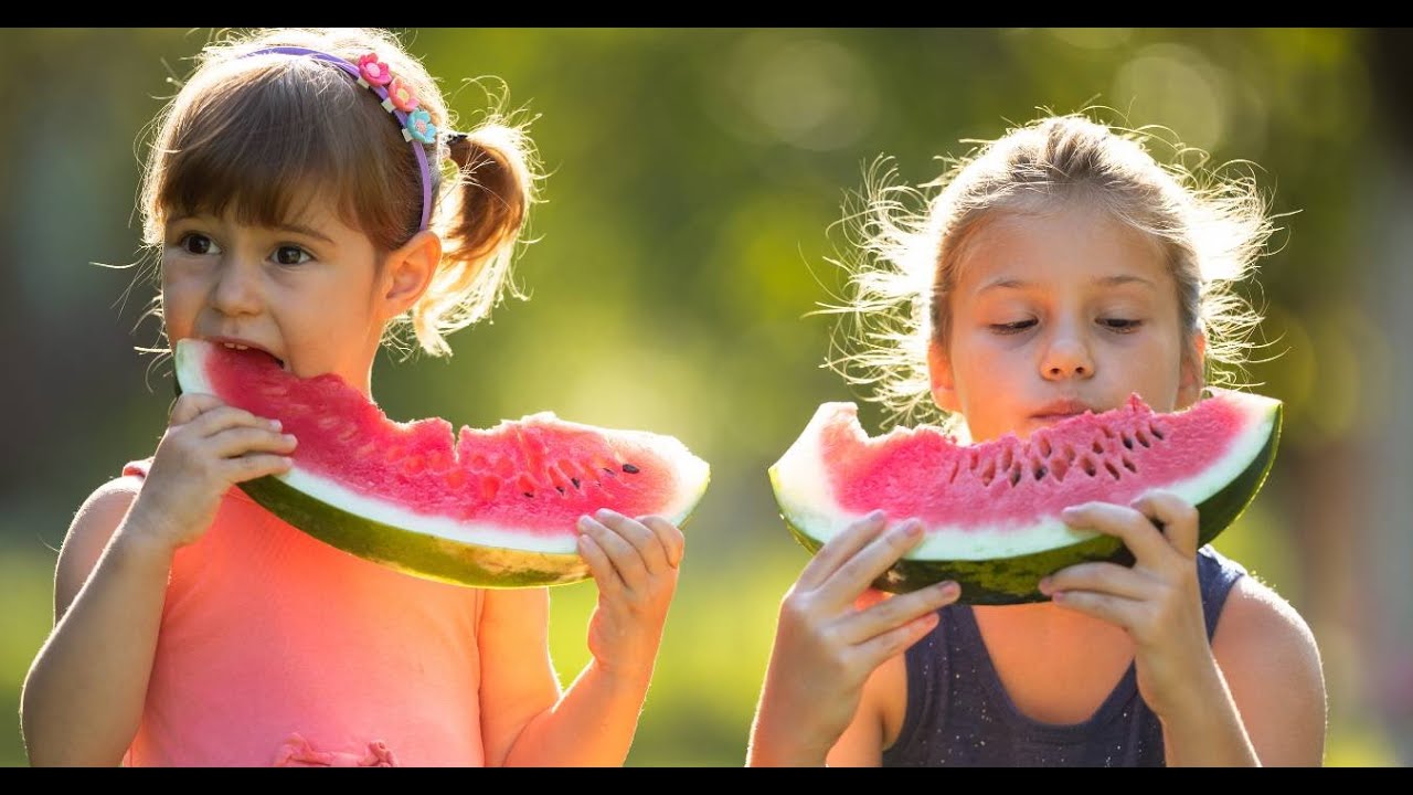 Discover How Mosquito Squad Keeps Your Yard Bug-Free!