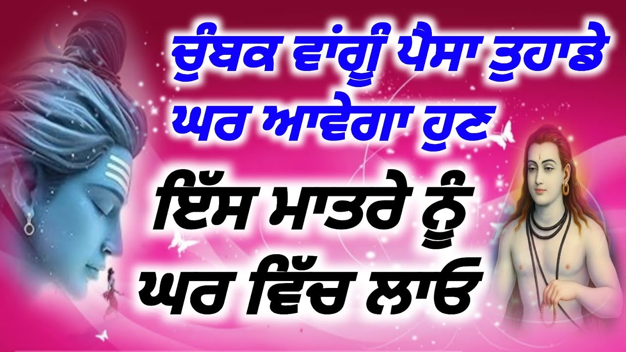 ਚੁੰਬਕ ਵਾਂਗੂ ਪੈਸਾ ਤੁਹਾਡੇ ਘਰ ਆਵੇਗਾ ਹੁਣ, ਇੱਸ ਮਾਤਰੇ ਨੂ ਘਰ ਵਿੱਚ ਲਾਓ | Baba Shri Chand Ji Pms |