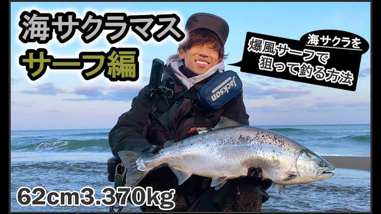 【海サクラ釣行 爆風サーフ編】狙って海サクラを釣る方法