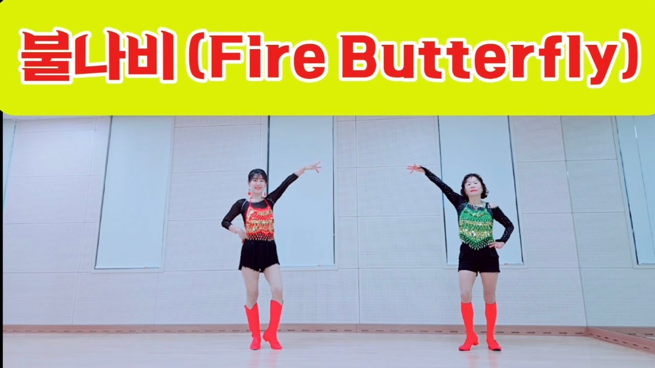 불나비 (Fire Butterfly) Line Dance / Beginner / 장윤정 