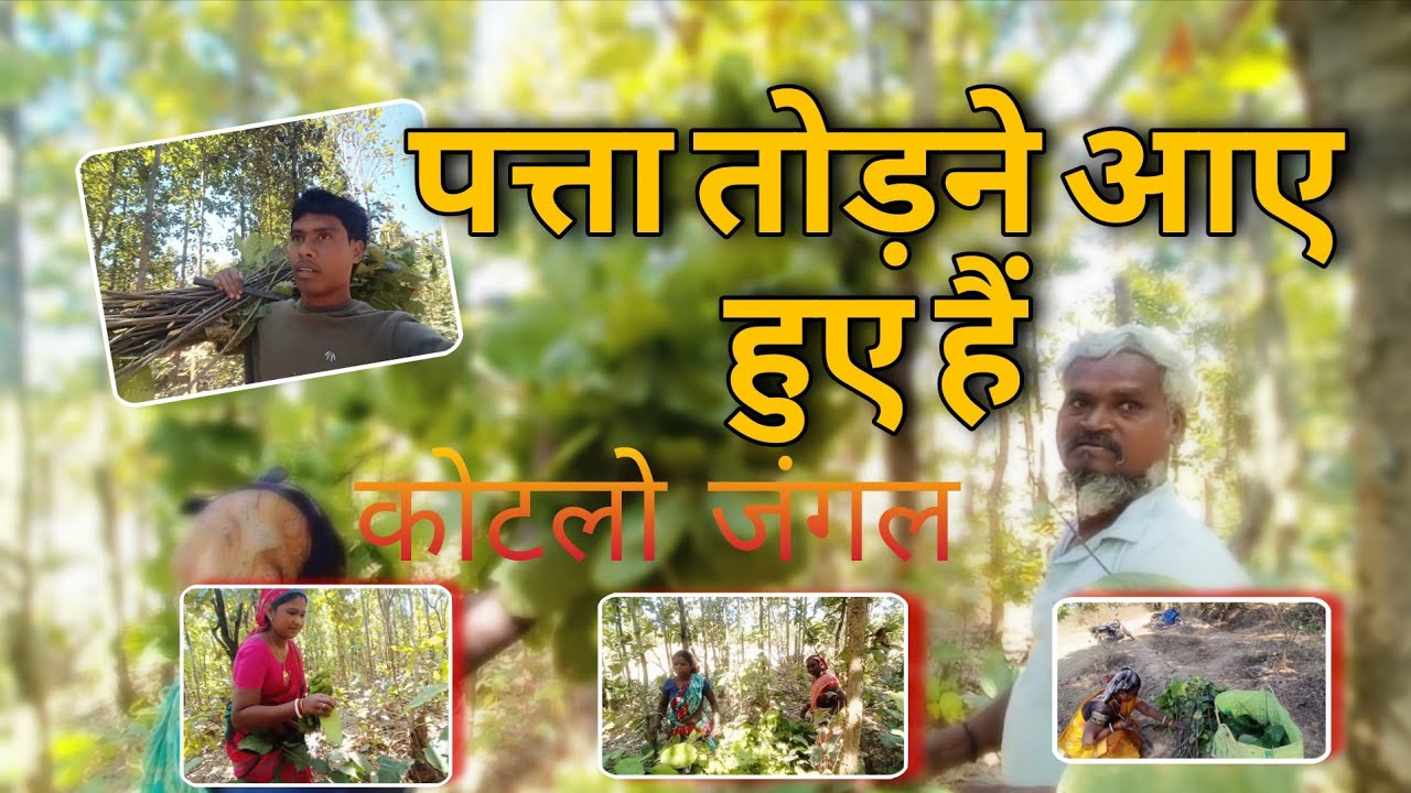 @Rk vlog Jharkhand 103#पत्ता तोड़ने आए हुए हैं// कोटलो जंगल 
