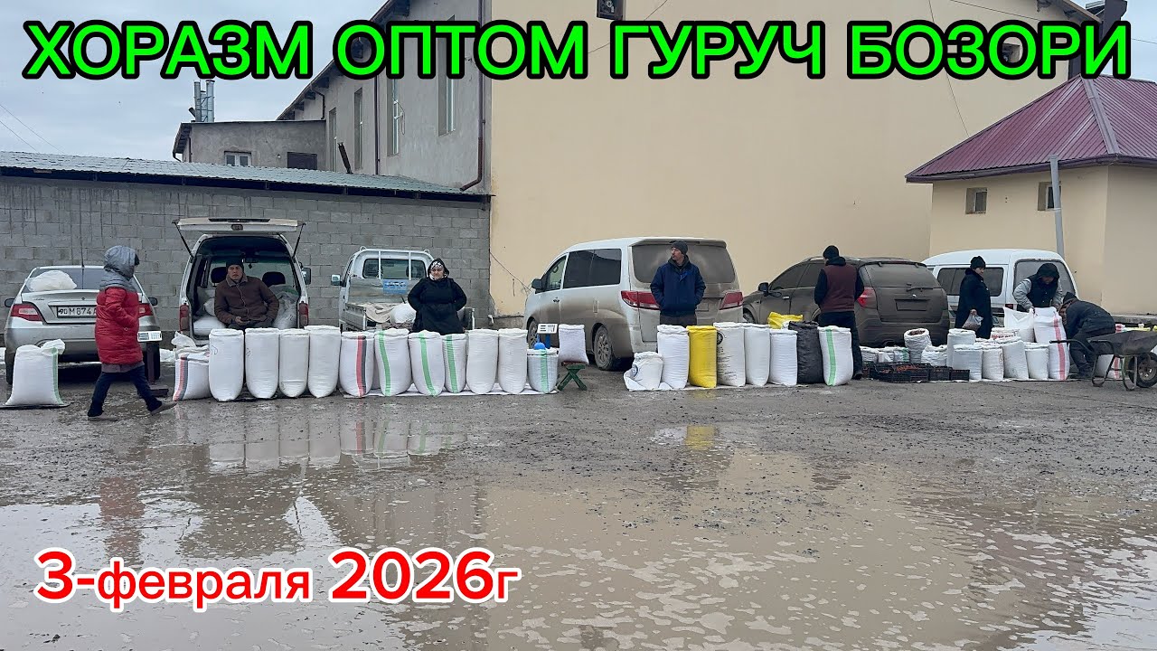 ХОРАЗМ ОПТОМ ГУРУЧ БОЗОР НАРХЛАРИ 3-февраля 2026г