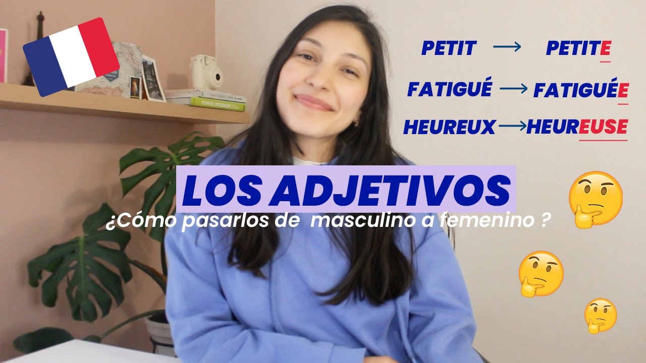 LOS ADJETIVOS EN FRANCÉS 🇫🇷 ¿Cómo pasarlos a femenino y plural?