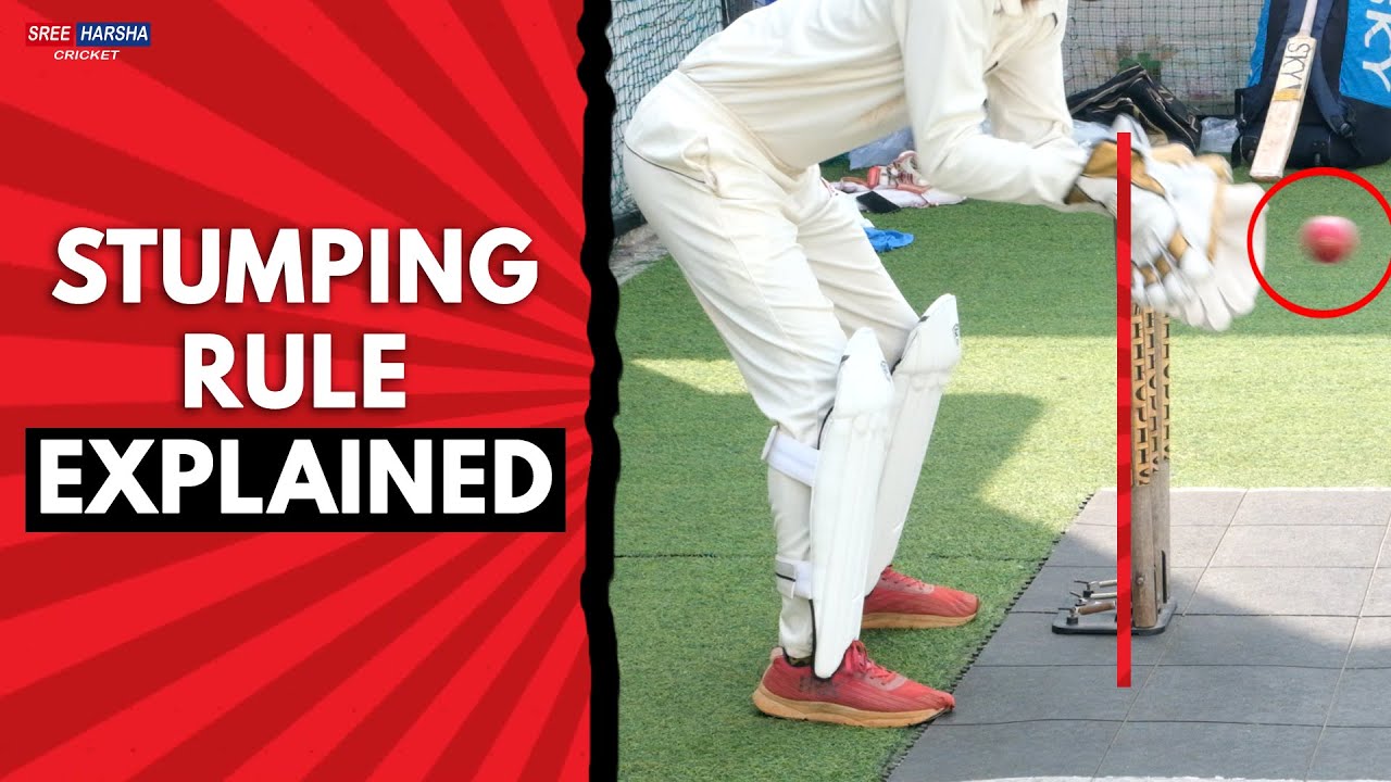 Stumping Rule in Cricket | Cricket Laws #cricket #cricketrules #indvsaus