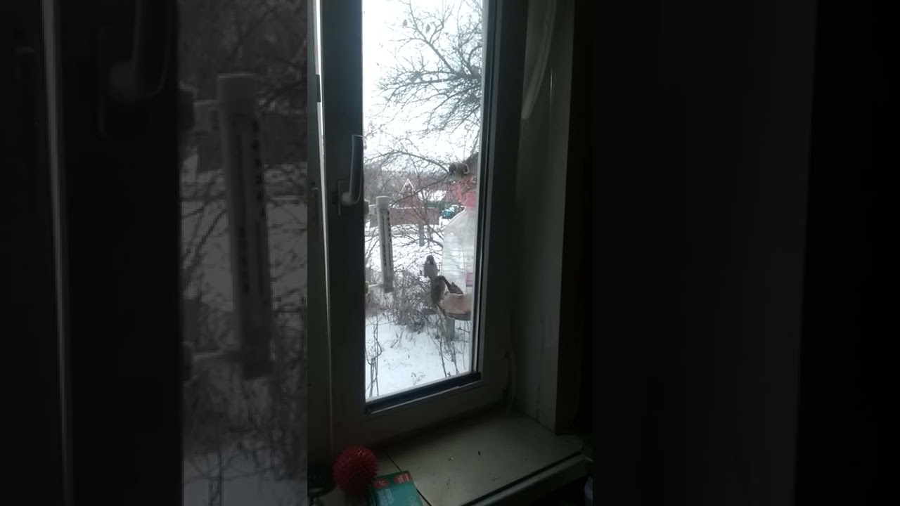 VID 20211218 090623