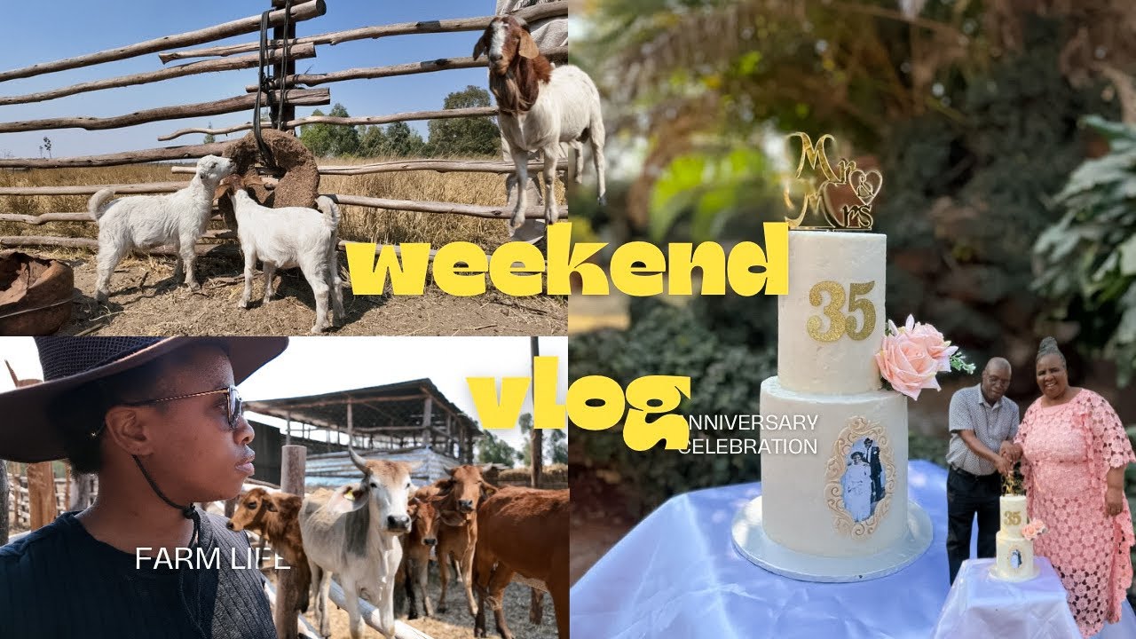 WEEKEND VLOG| My parents 35th wedding anniversary #zimbabweanyoutuber