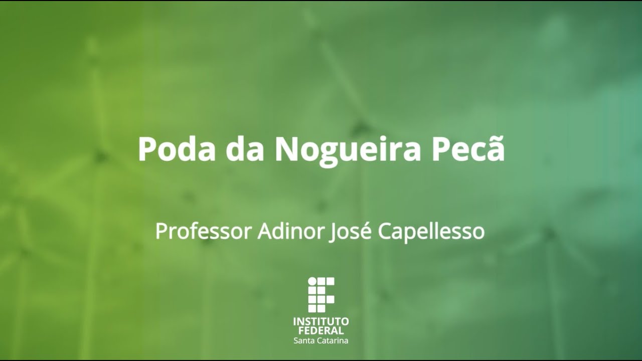 Nogueira Pecã - Poda